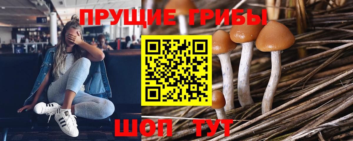 Галлюциногенные грибы Psilocybe  Галлюциногенные грибы GOLDEN TEACHER  Вход с VPN  Кстово 